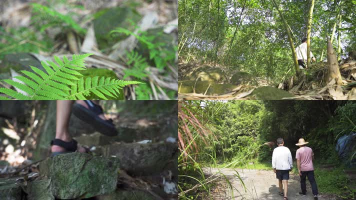 徒步登山旅行度假山林脚步台阶 