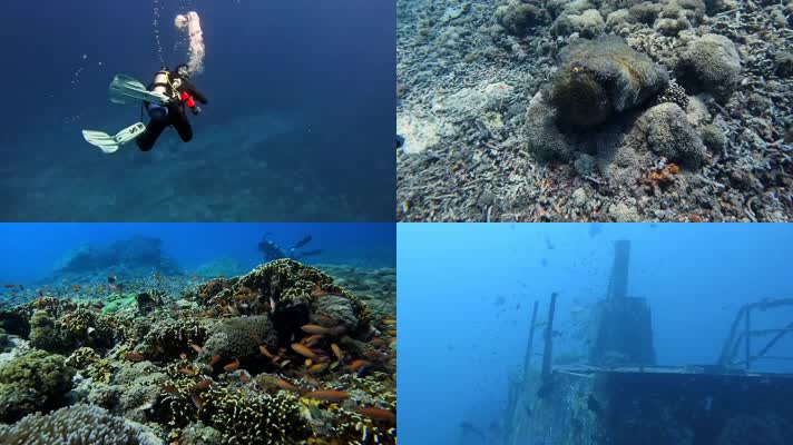 水肺潜水海底景观沉船海龟鱼类