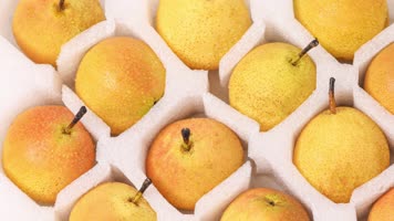 鞍山南果梨 新鲜南果梨 南果梨