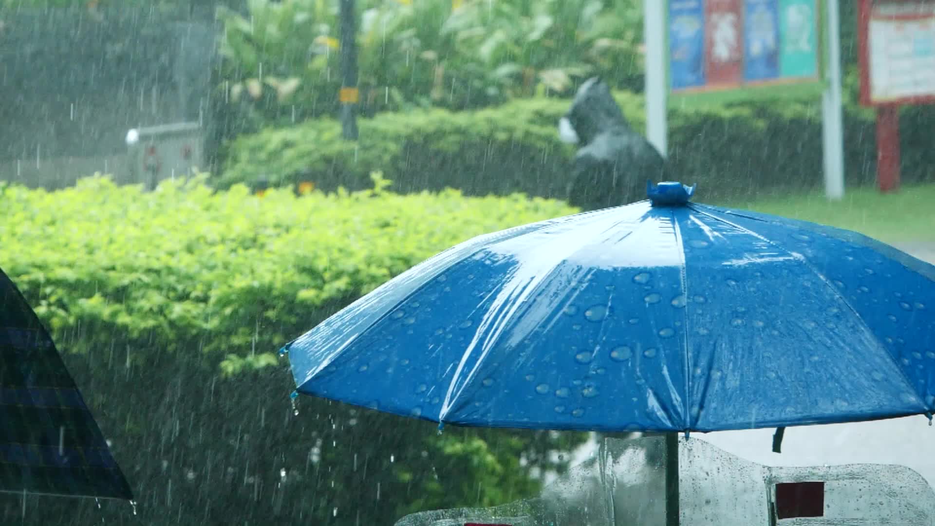 短时强降雨午间再次来袭 市民穿拖鞋带雨伞出行_深圳新闻网
