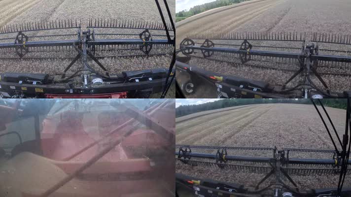 农村现代机械化收割机收割小麦