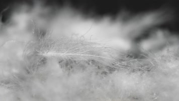 鸭绒羽绒保暖材料