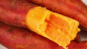 地瓜 天目山小香薯 