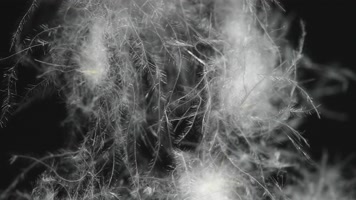 鸭绒羽绒服灰鸭绒白鸭绒