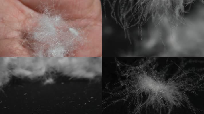 鸭绒灰鸭绒白鸭绒