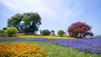 六一儿童节亲子时光