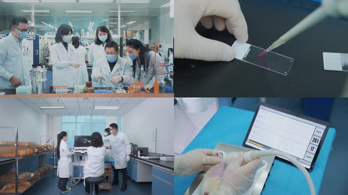 实验室试验  生物试验，高端试验，科研人员
