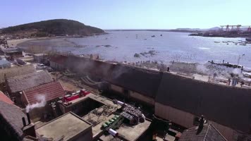 海边 海鸥 一群海鸥 海鸥飞翔 俯拍汽车