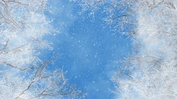冰晶树环形天空镜头拉近【无限循环】