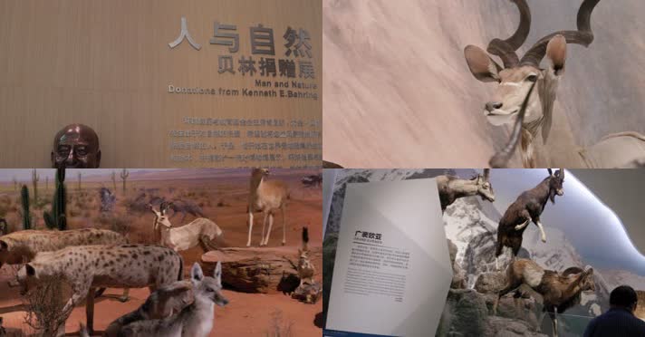 人与自然 科普展览馆 4K教育宣传片