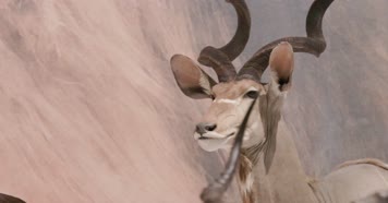 人与自然 科普展览馆 4K教育宣传片