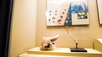 博物馆文物 博物馆文物