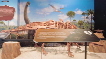 自然博物馆顾客参观人流 自然博物馆顾客参观人流