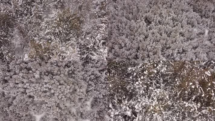 初冬兴安岭森林积雪航拍