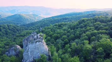 阳光生态森林航拍01 阳光生态森林航拍01