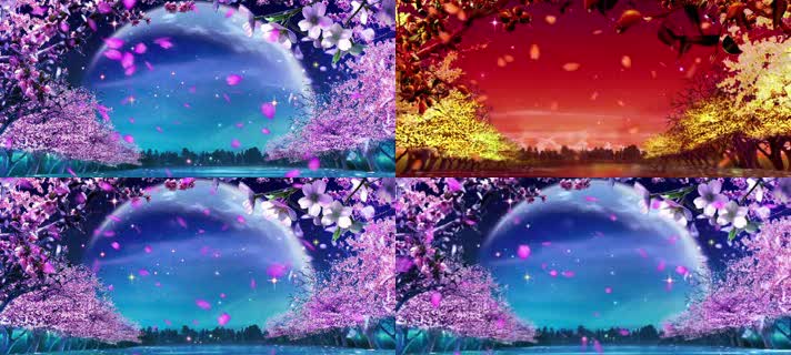 春夏秋冬2K唯美花