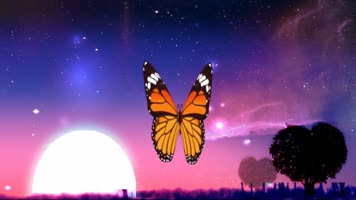 荷塘蝴蝶普通梦幻唯美 荷塘蝴蝶普通梦幻唯美