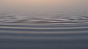 唯美涟漪 唯美涟漪