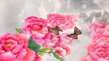 牡丹蝴蝶2K国风 牡丹蝴蝶2K国风
