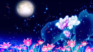 圆月蝴蝶普通梦幻 圆月蝴蝶普通梦幻