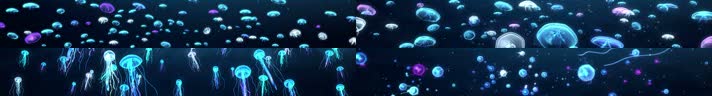 水母主题6K海底