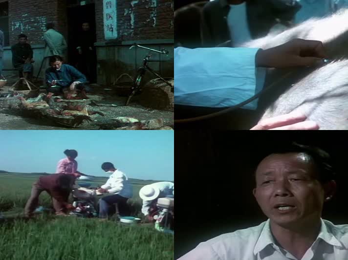 80年代中国的农村生活影像32