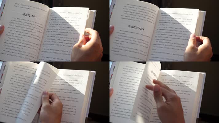 翻书特写