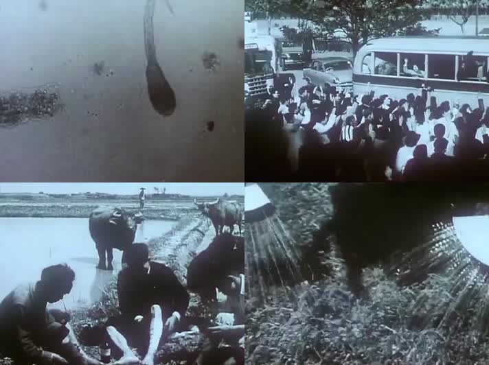 60年代中国消灭大肚子病影像2