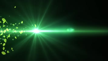 绿叶光效