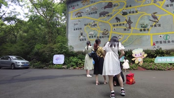 杭州动物园游客参观游玩 杭州动物园游客参观游玩