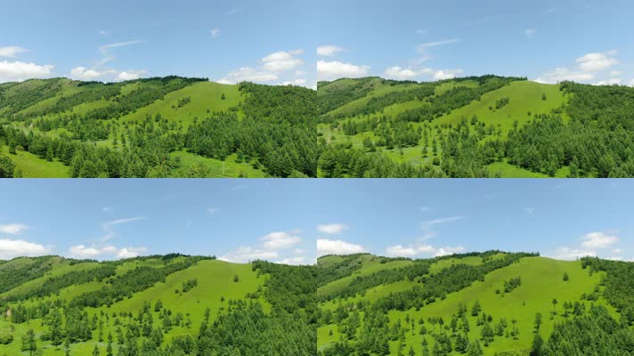 4K内蒙古高山原始森林