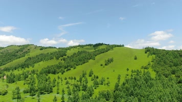 4K内蒙古高山原始森林