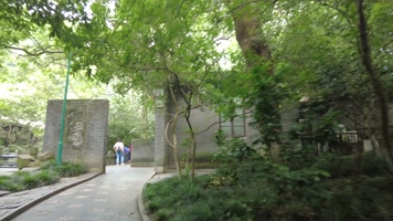 动物园人行道 动物园人行道