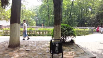 动物园游客游玩 动物园游客游玩