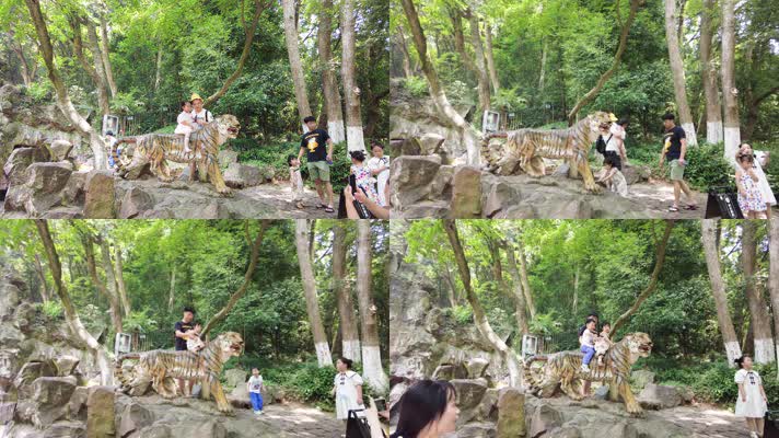 动物园游客在拍照