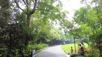 杭州动物园人群人流 杭州动物园人群人流