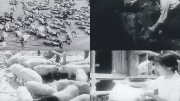 70年代浙江农业机械化生产影像7