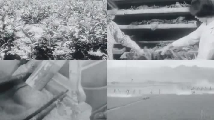 70年代浙江农业机械化生产影像8