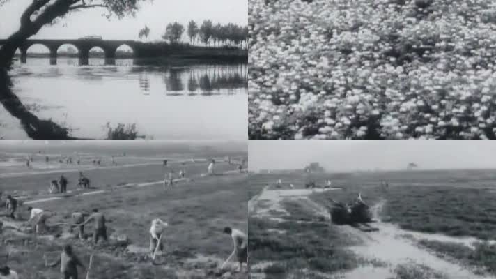 70年代浙江农业机械化生产影像1