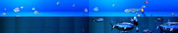 鲸鱼鱼群 海洋生物 5d科技感  