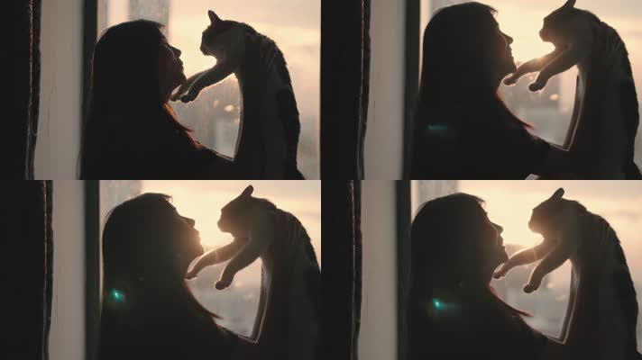 女孩在夕阳下的窗边与猫咪玩耍4k