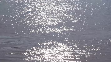 水面光斑唯美 水面光斑唯美