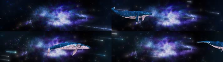 桌面游鱼 星空流星 鲸鱼穿梭 餐厅桌面素材 