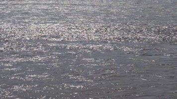 波澜壮阔的水面 波澜壮阔的水面