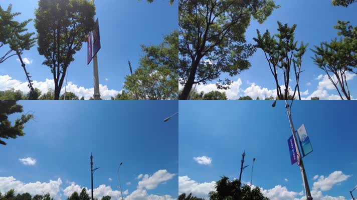 仰望马路风景蓝天白云树枝