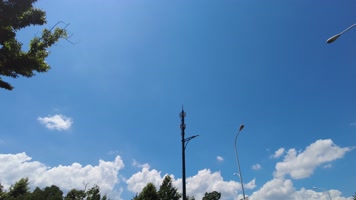 仰望马路风景蓝天白云树枝