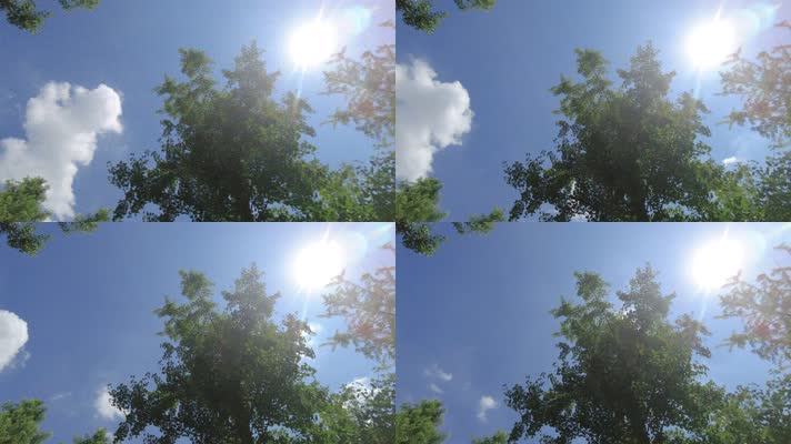 树林蓝天白云阳光延时摄影