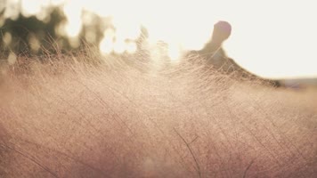 秋意盎然的午后时光