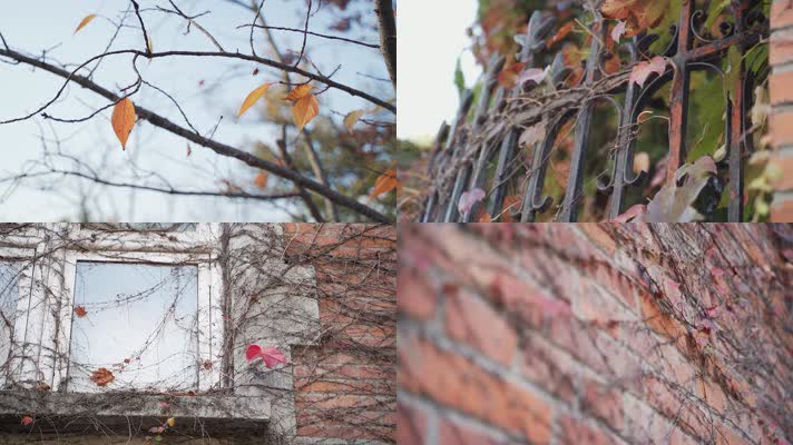 废旧废弃的别墅建筑