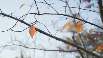 废旧废弃的别墅建筑 废旧废弃的别墅建筑
